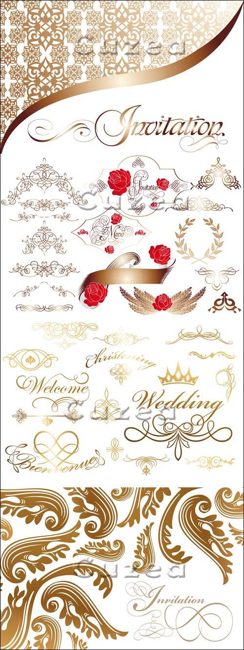        / Wedding invitation and vintage elements - vector stock