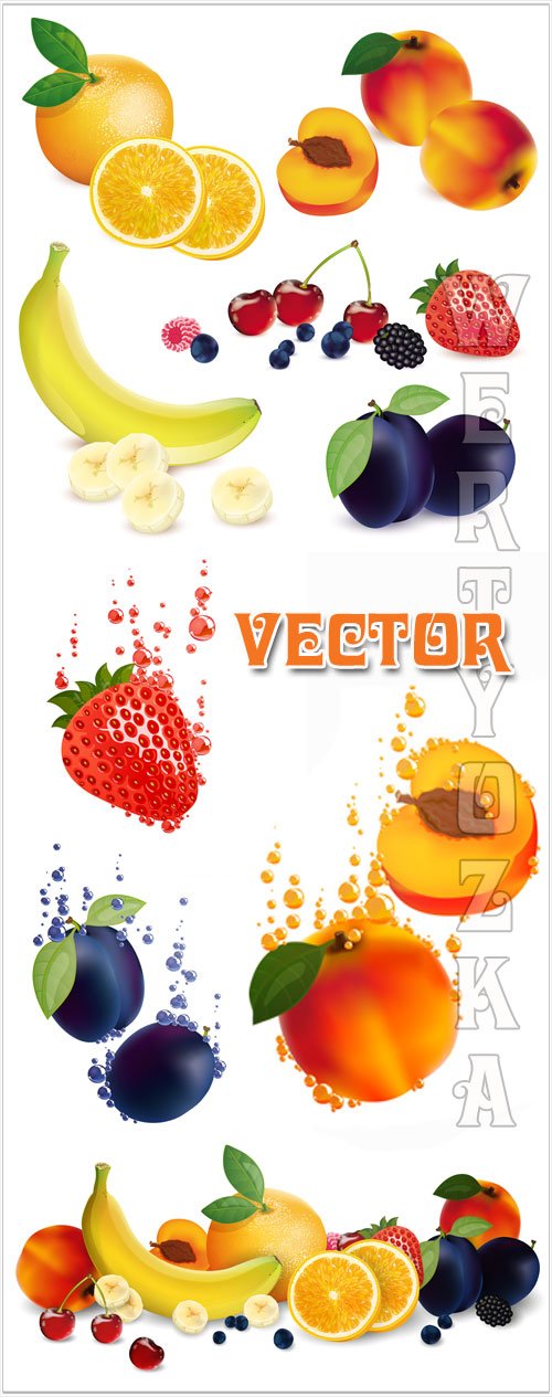   , , , ,  / Fruits vector, apricot, banana, plum, strawberry