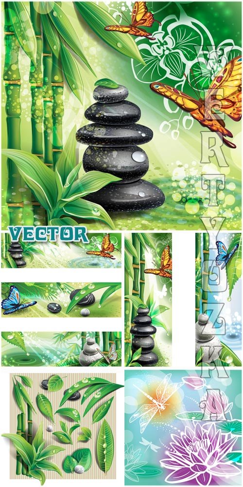    ,    / Spa background with stones, bamboo and butterflies - vector clipart