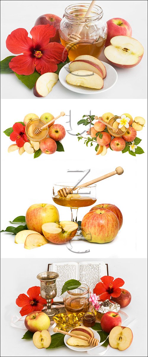    / Apples and honey - stock photo