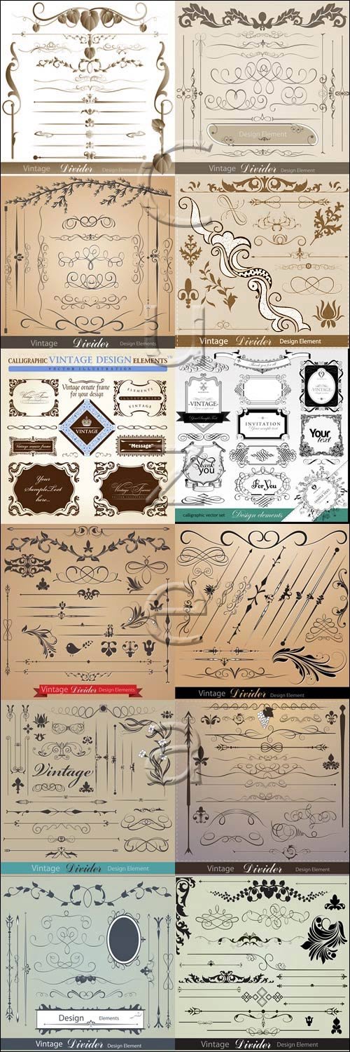     / Vintage caligraphic collection - vector stock