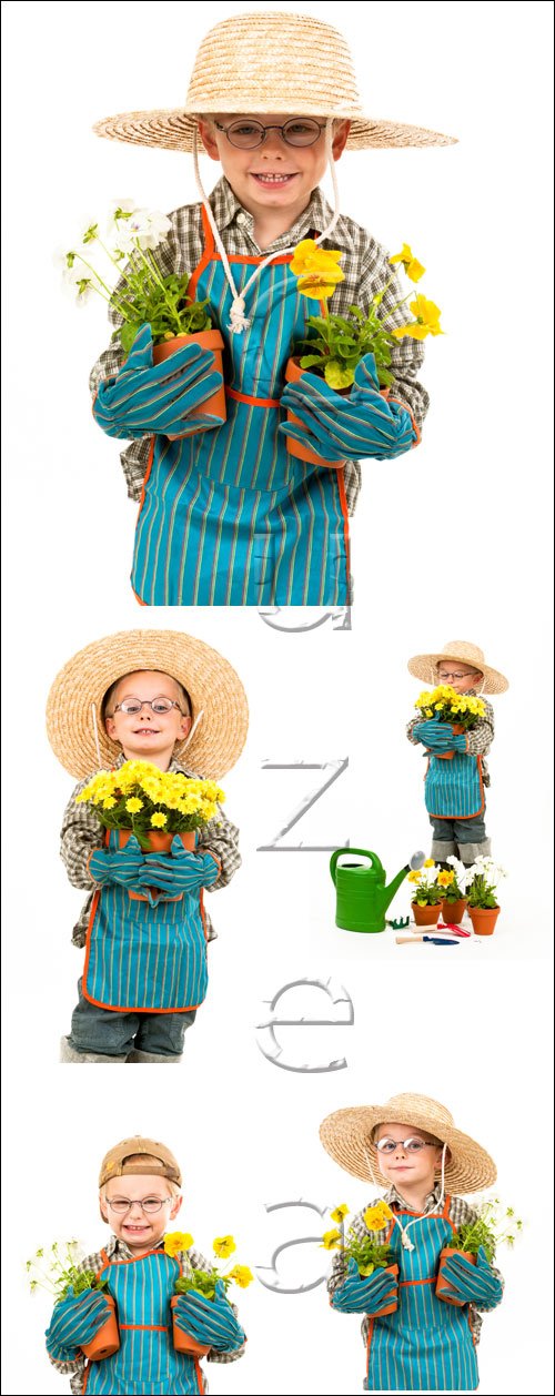   / Boy gardener - stock photo
