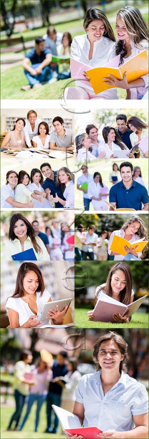       / Students on green grass with books - stock photo