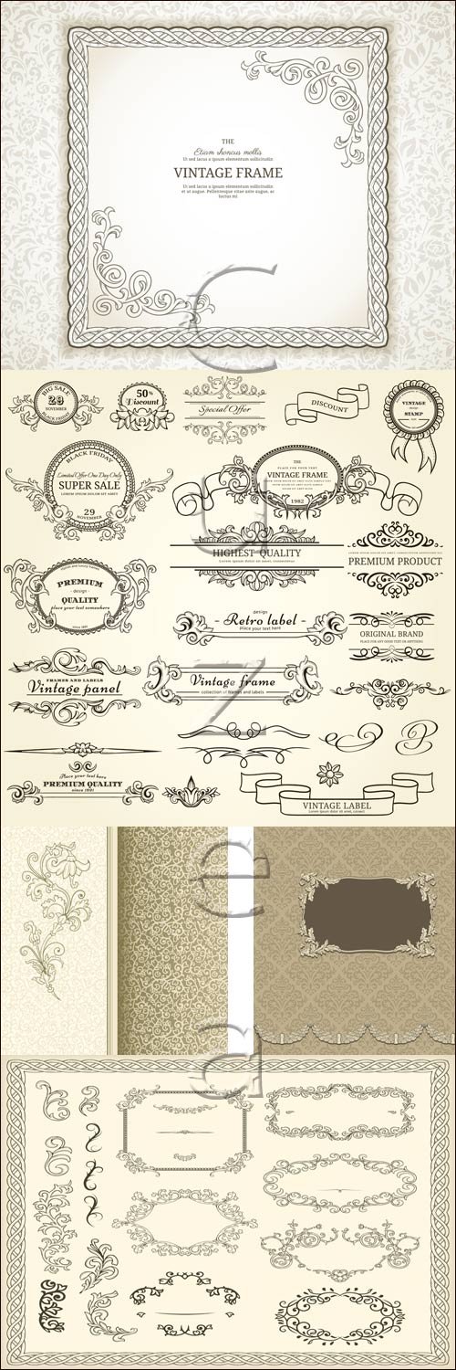        / Vintage  elements for certificate on white background - vector stock