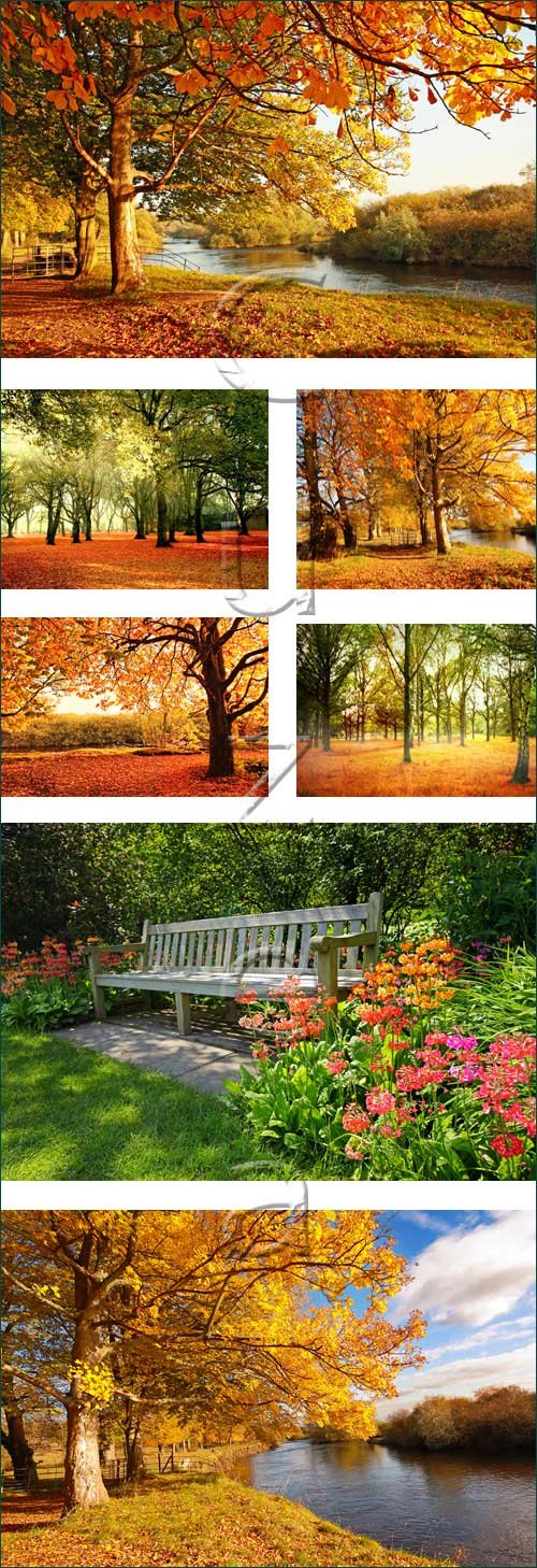 Autumn nature with color leaves - stock photo