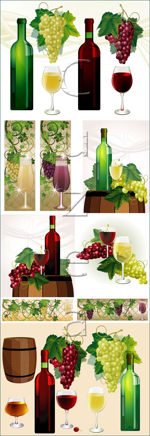 Wine and grape, 5 - vector stock