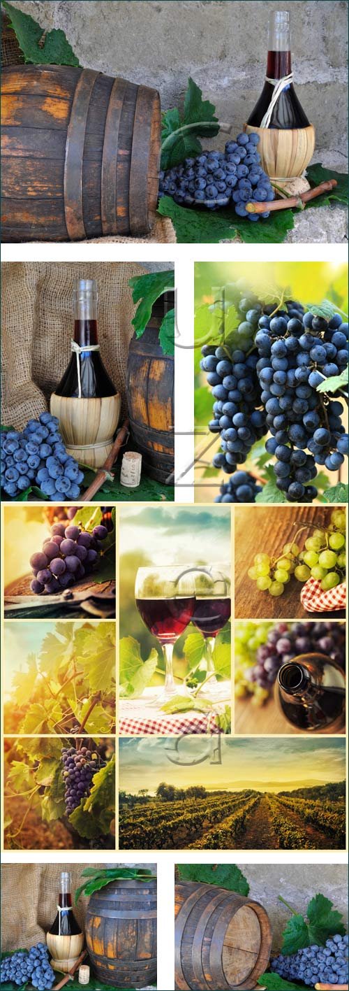 Grape and wine barrel - stock photo