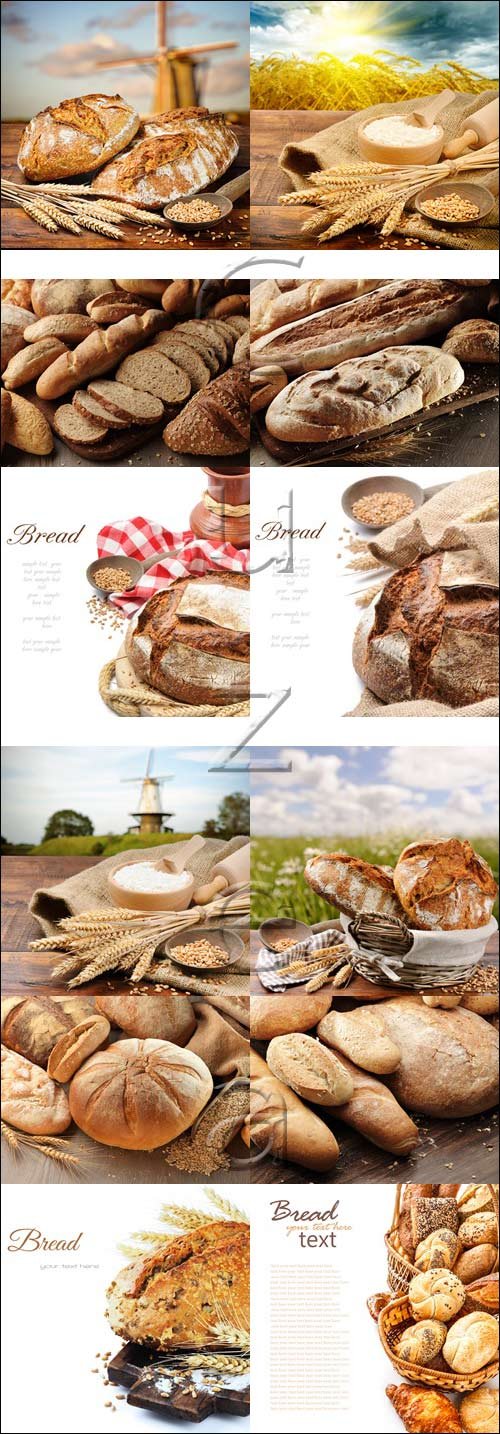 Bread production, part 10 - stock photo