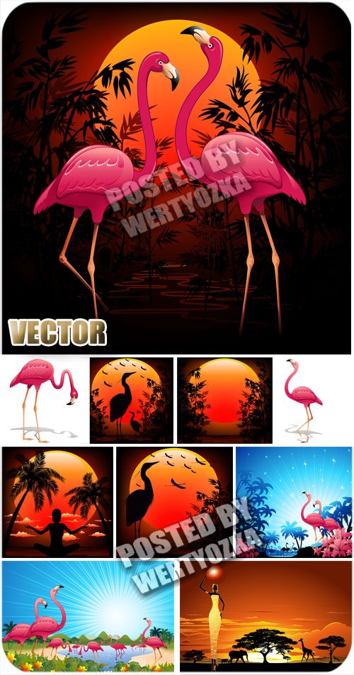  ,  / Pink flamingos, nature - stock vector