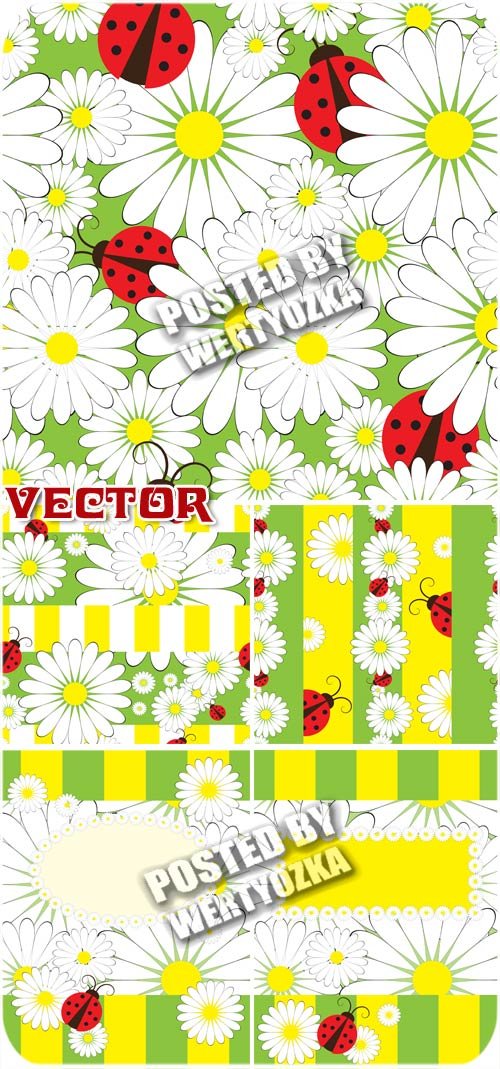     / Daisies and ladybugs - stock vector