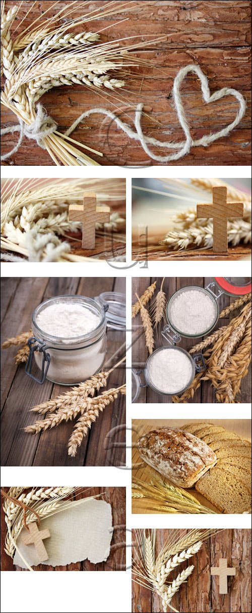 Wheat on wood background - stock photo