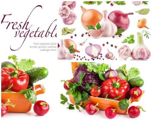 Season fresh vegetables on white backgrounds - stock photo