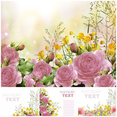 Pink roses bouquet with free space for text - stock photo