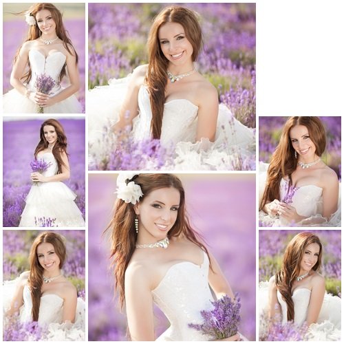 Beautiful bride in lavanda field - stock photo