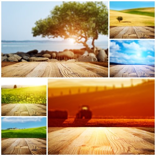 Nature and wood backgrounds - stock photo