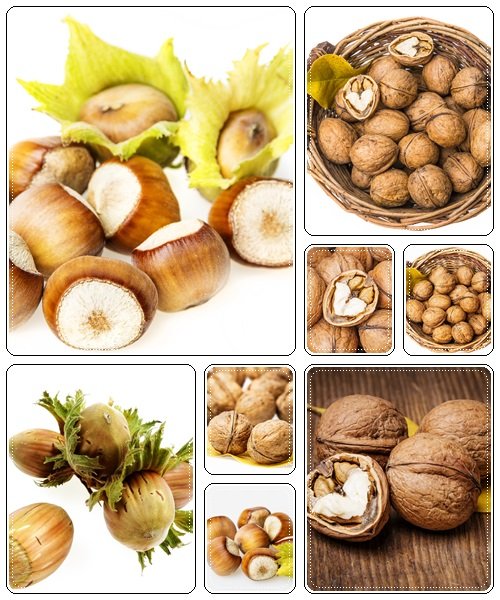 Nuts collection, 5 - stock photo