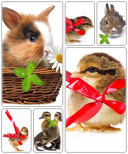 Easter animals - stock photo