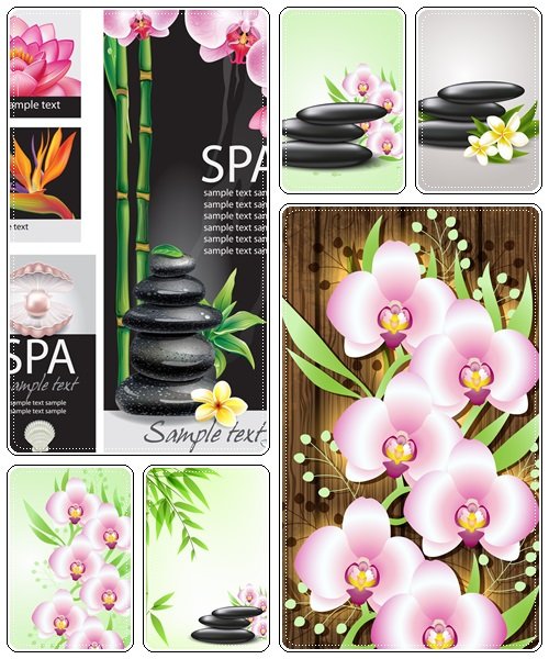 Vector spa stones and flowers - vector stock