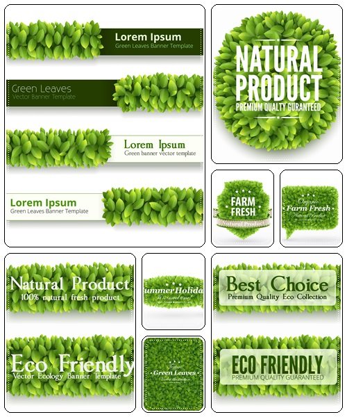 Background with green leaves banners for eco products  - vector stock