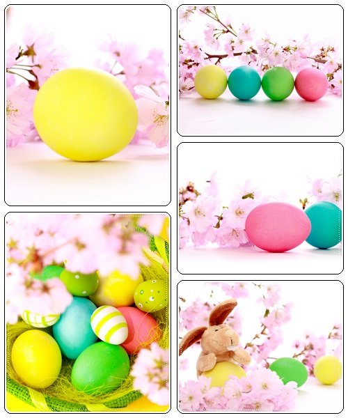 Spring flowers and easter eggs - Stock Photo