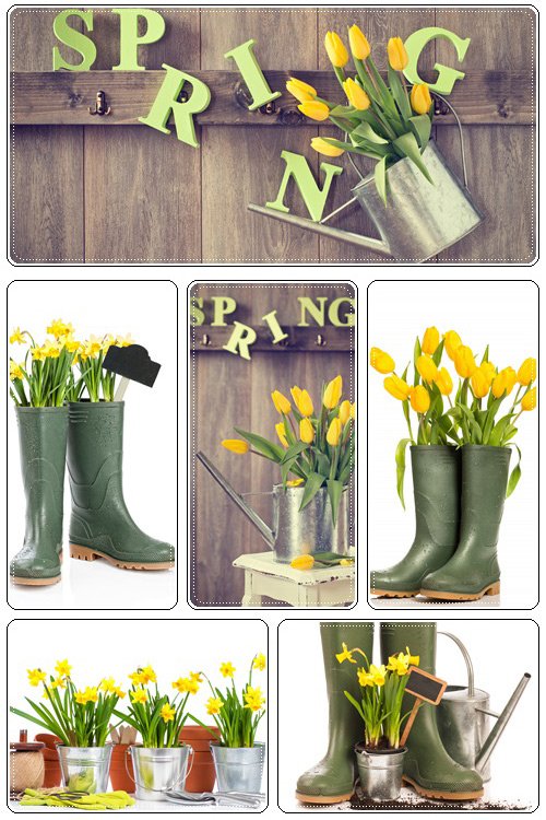 Spring wood decoration - Stock Photo
