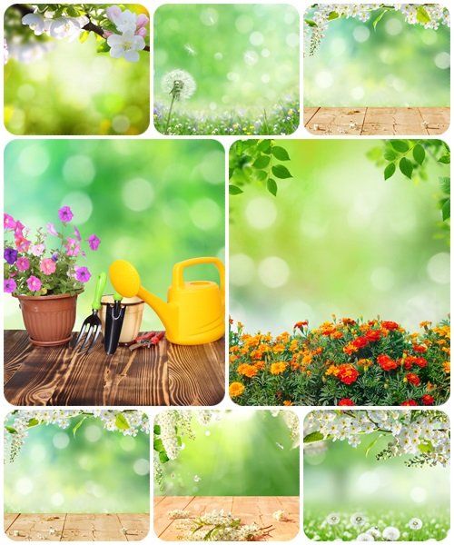 Spring background with wooden planks - Stock Photo