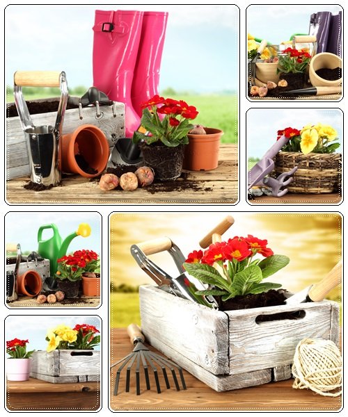 Spring gardening - Stock Photo